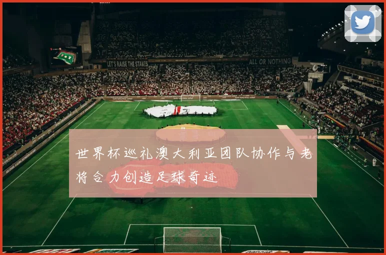 世界杯巡礼澳大利亚团队协作与老将合力创造足球奇迹